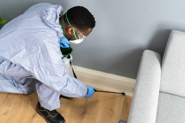 Best Pest Prevention Services  in Brownsville, OR